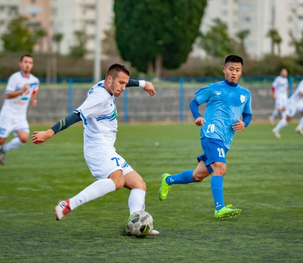 pexels-aleksandar069-3684122